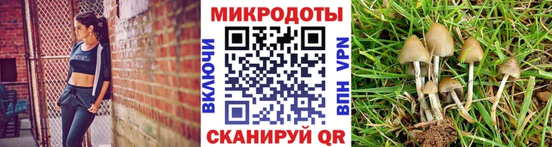 Псилоцибиновые грибы Cubensis  Купить закладки  Кстово 
